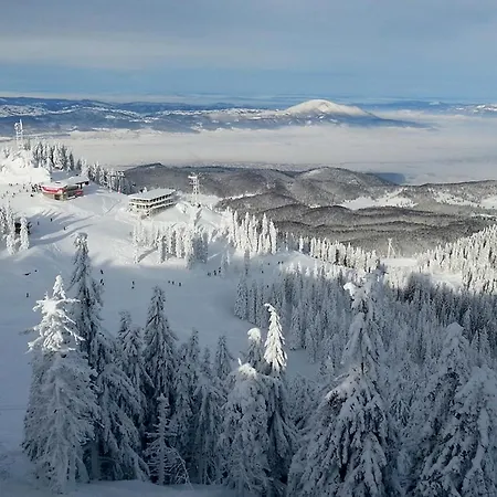 Alpin , Etaj 8 Poiana Brasov