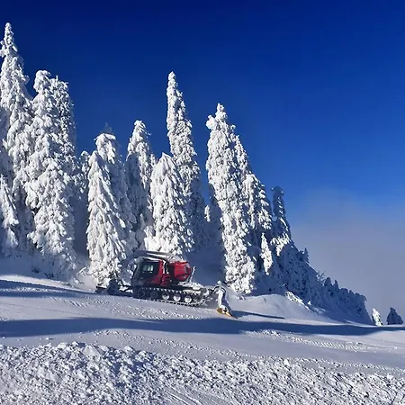 Alpin , Etaj 8 Poiana Brasov