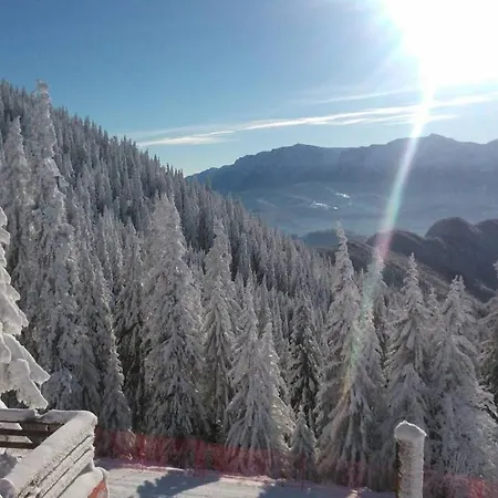 Alpin , Etaj 8