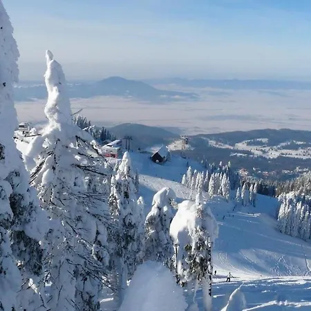 Alpin , Etaj 8 Aparthotel Poiana Brasov